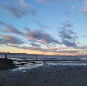 Meet your Posher, Athena